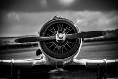Harvard Warbird engine