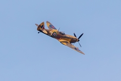 Spitfire Brown
