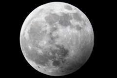 Wolf Moon close up