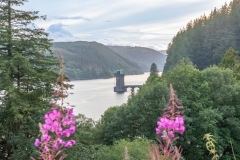 Lake Vyrnwy -2