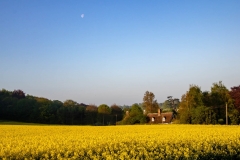 Moon at Moor