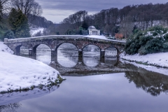 Winter Reflections