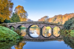 Autumn Reflections