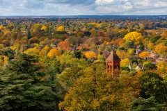 Autumn View