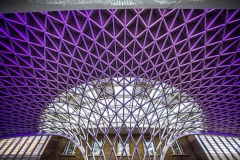 ST Pancras station Roof