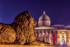 Trafalgar lion