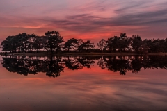 Hatchet Pond red