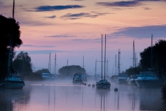 Mauve morning mist