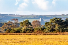 Corfe Castle from Arne