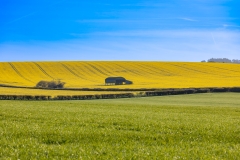 Sixpenny Handley sunny day