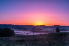 Sunrise in the New Forest