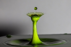 Green Drop 2
